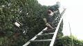 View The Arborist’s Ladner profile